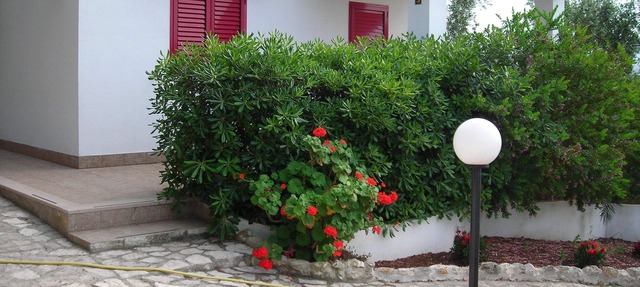 Villa Celeste Vieste-Villetta nr.3 in Vieste