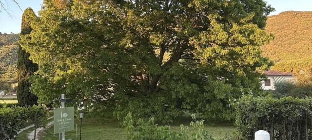 Villa la Quercia e il Cipresso in San Giuliano Terme