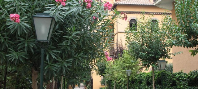 Villa Matissa in Rome