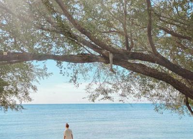 Wilson's Retreat in Gili Trawangan