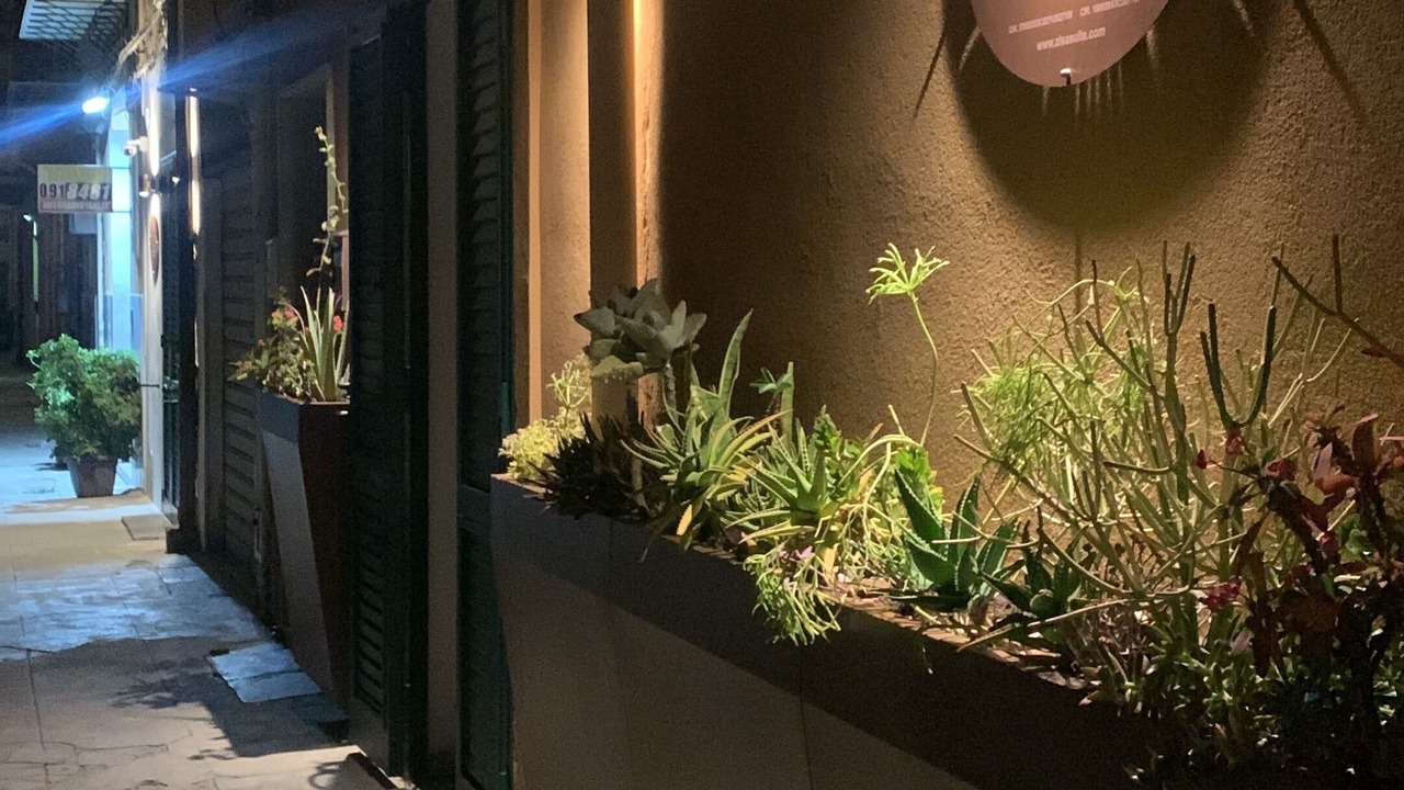 Photo of Outdoor in Palermo