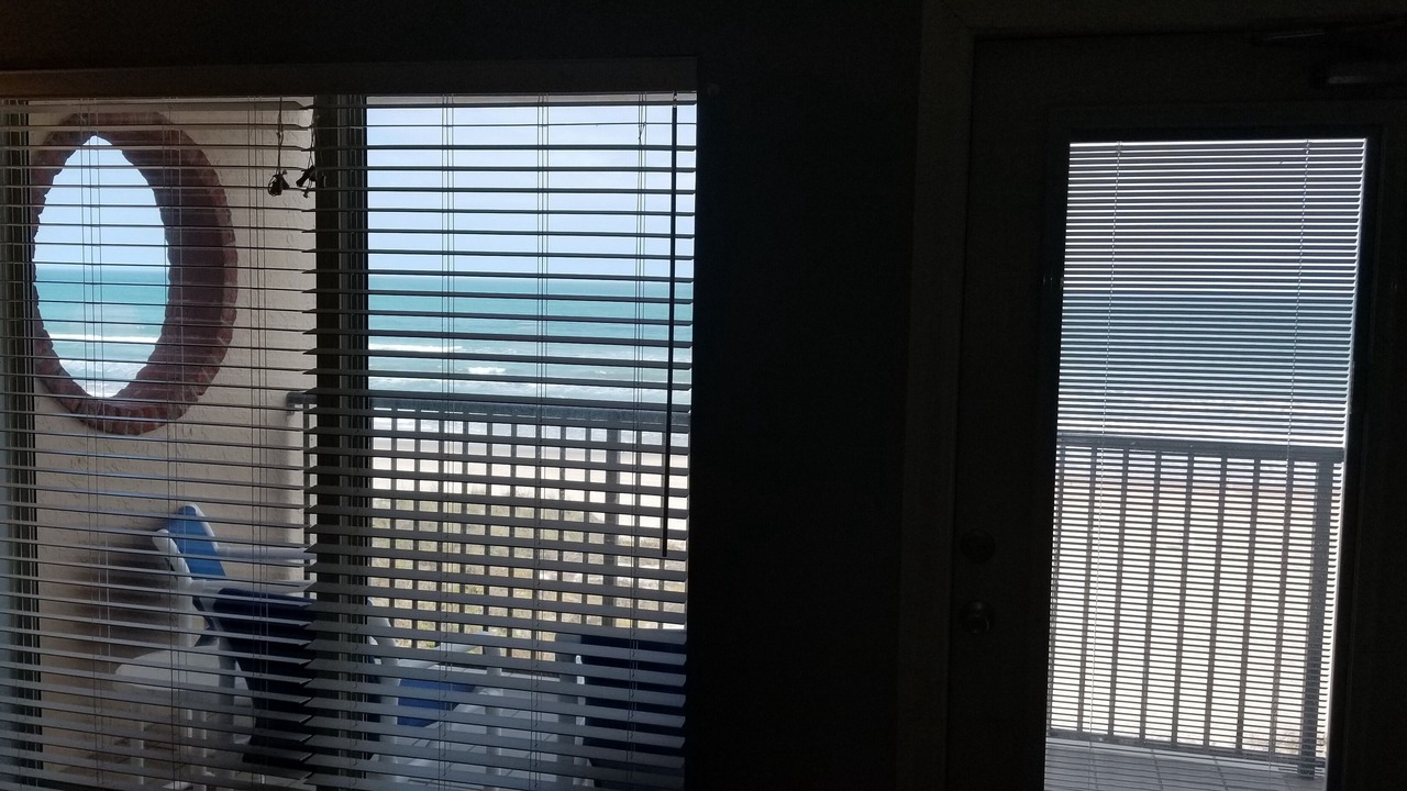 Photo of Others in South Padre Island