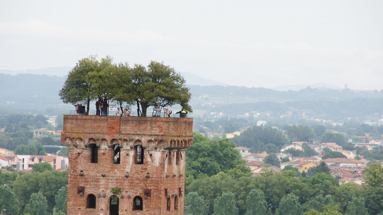 Photo of Outdoor in San Michele di Moriano