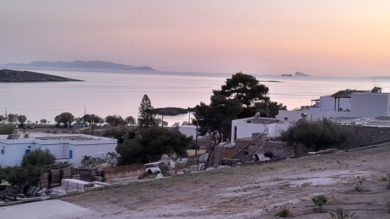 Photo of Others in Posidonia