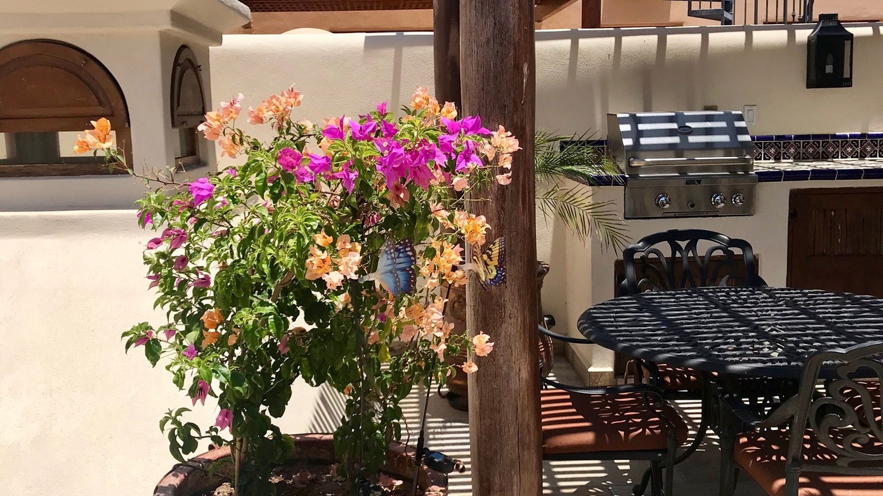 Photo of Outdoor in Nopolo
